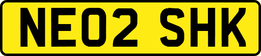 NE02SHK