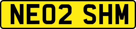 NE02SHM