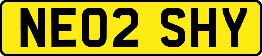 NE02SHY