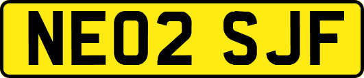NE02SJF