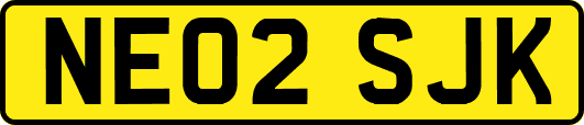 NE02SJK