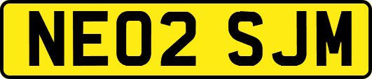 NE02SJM