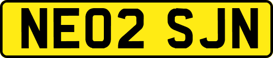 NE02SJN