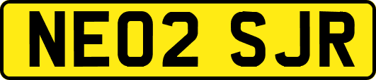 NE02SJR