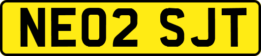 NE02SJT