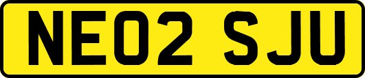 NE02SJU