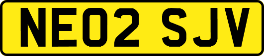 NE02SJV