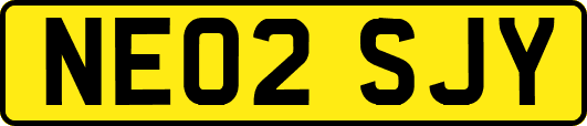 NE02SJY