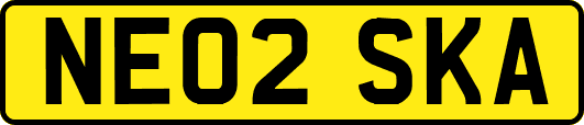 NE02SKA