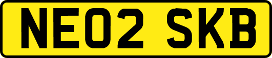 NE02SKB