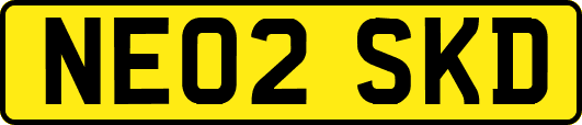 NE02SKD