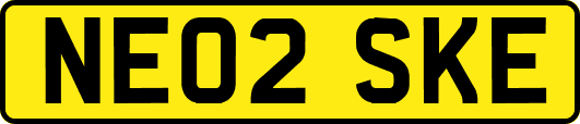 NE02SKE