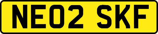 NE02SKF
