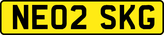 NE02SKG