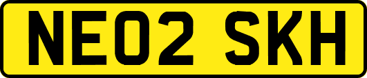NE02SKH