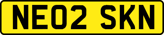 NE02SKN