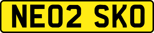NE02SKO