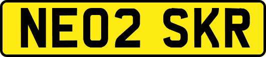 NE02SKR