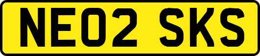 NE02SKS