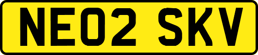 NE02SKV