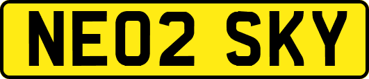 NE02SKY