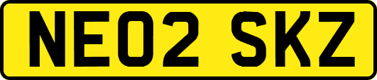 NE02SKZ