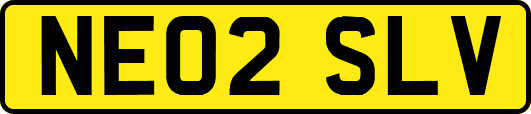 NE02SLV