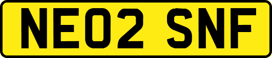 NE02SNF