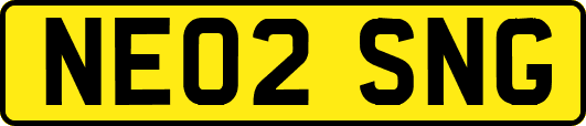 NE02SNG