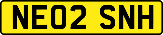 NE02SNH