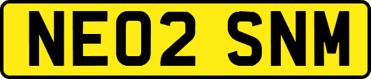 NE02SNM