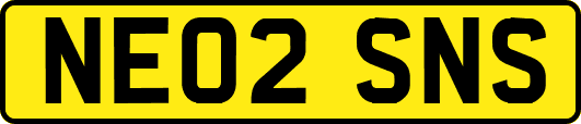 NE02SNS
