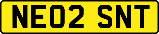 NE02SNT