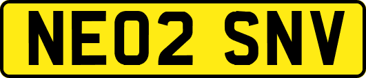 NE02SNV