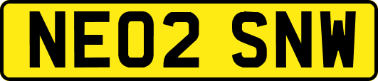 NE02SNW