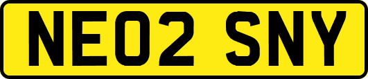 NE02SNY