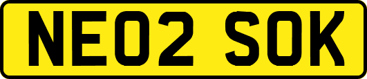NE02SOK