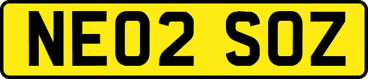 NE02SOZ
