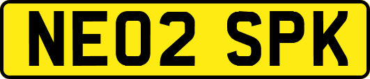 NE02SPK