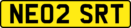 NE02SRT