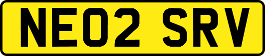 NE02SRV