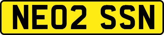 NE02SSN