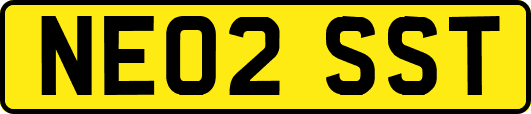 NE02SST