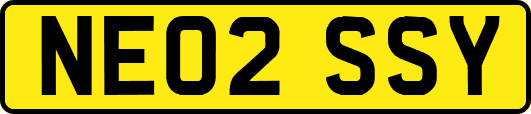 NE02SSY