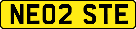 NE02STE