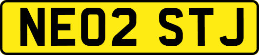 NE02STJ