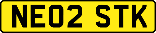 NE02STK