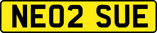 NE02SUE