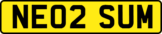 NE02SUM