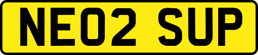 NE02SUP